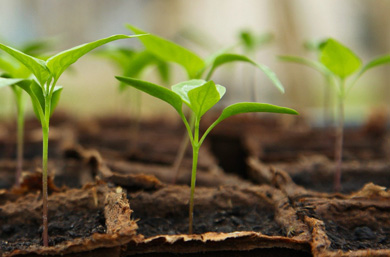 Coopérative et nature 